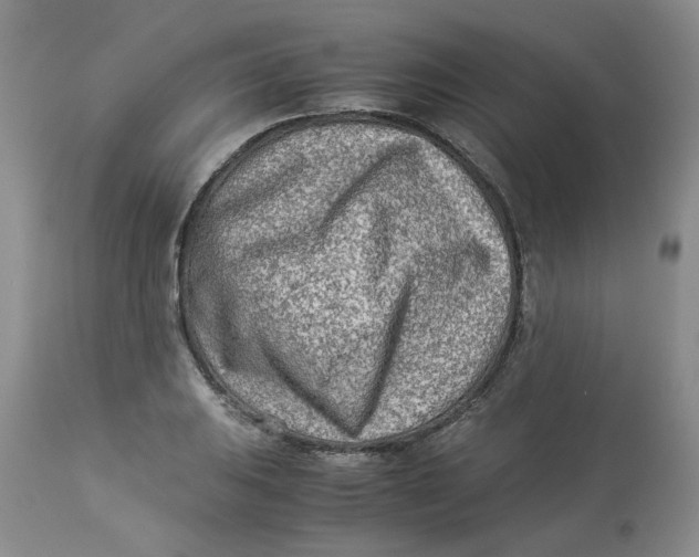 X0000114011031200910231810