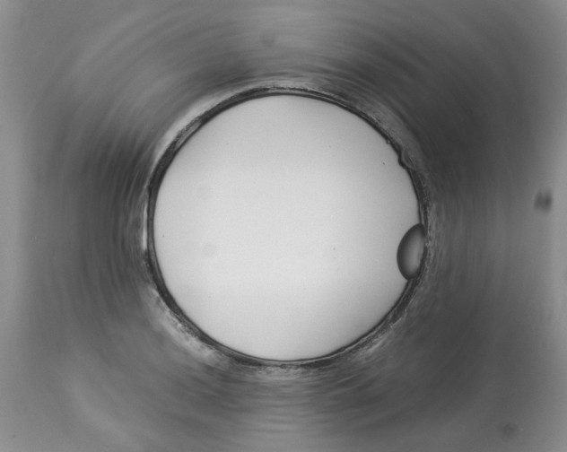 X0000114011036200910231810