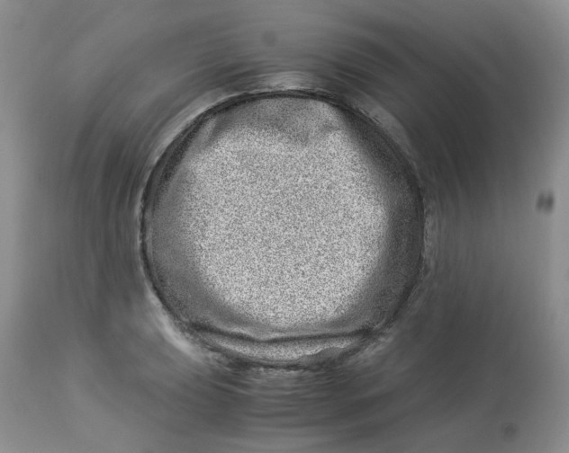 X0000114011039200910231810