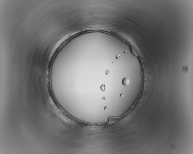 X0000114011040200910231810