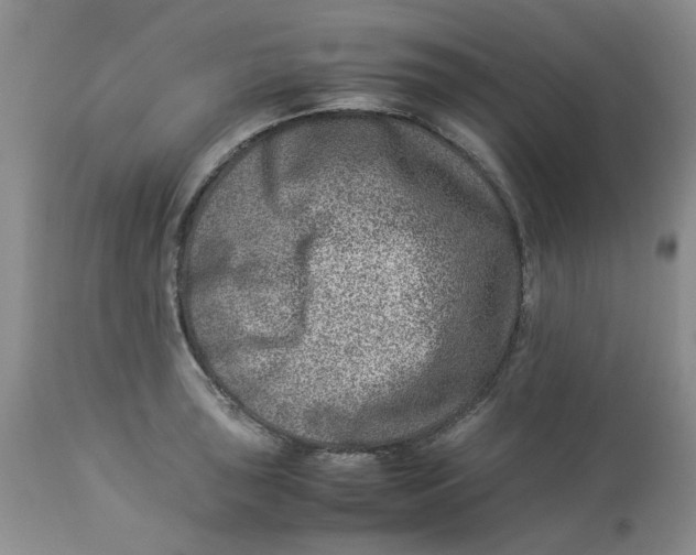 X0000114011043200910231810