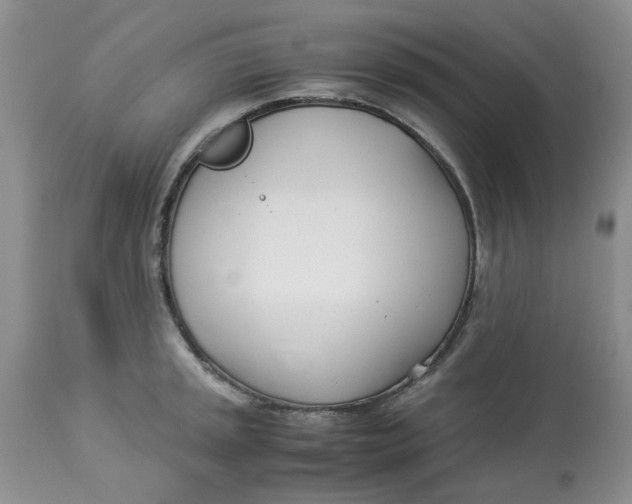 X0000114011045200910231810