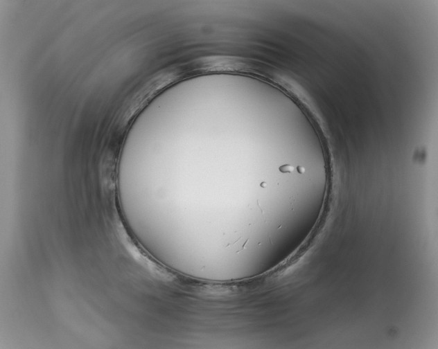 X0000114011049200910231810