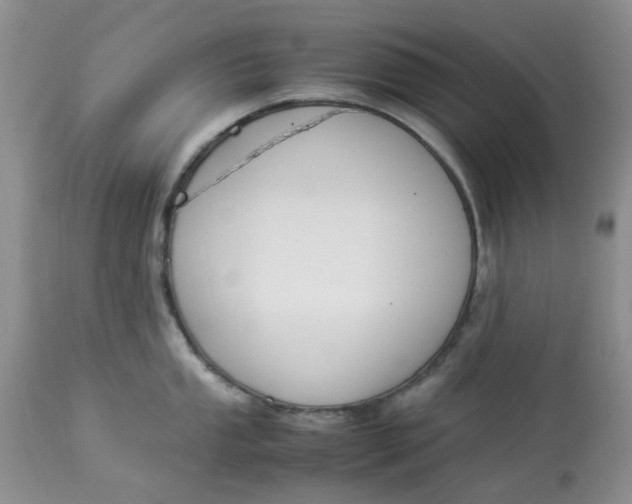 X0000114011053200910231810