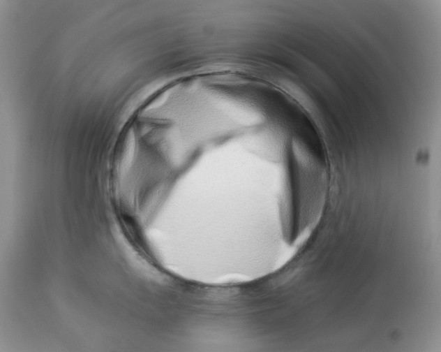 X0000114011055200910231811