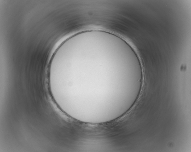 X0000114011056200910231811