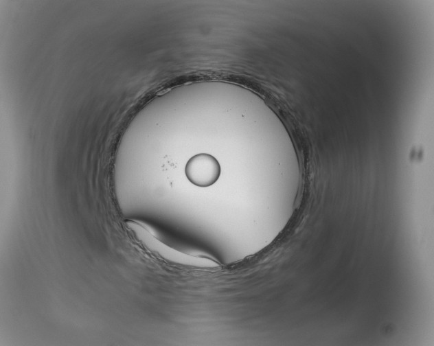 X0000114011057200910231810