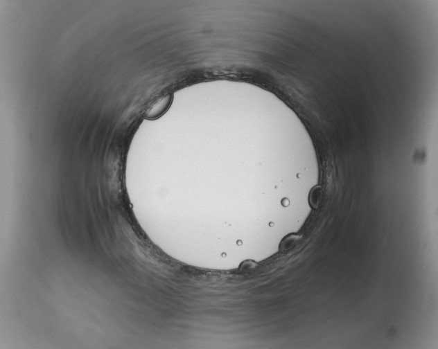 X0000114011060200910231810