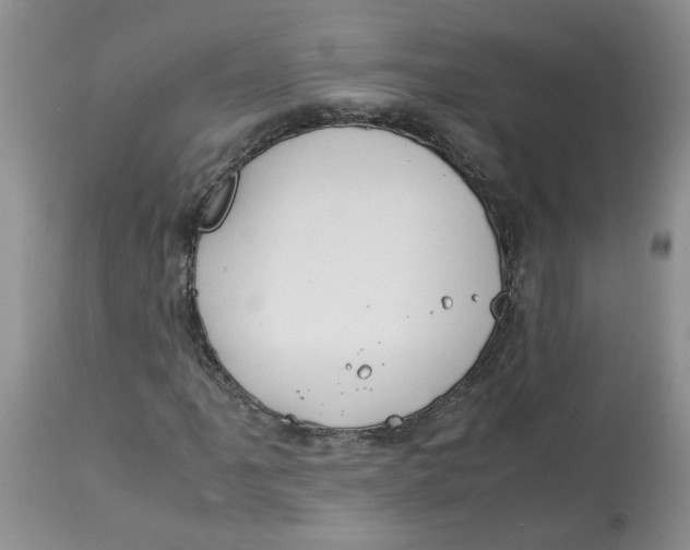 X0000114011061200910231810