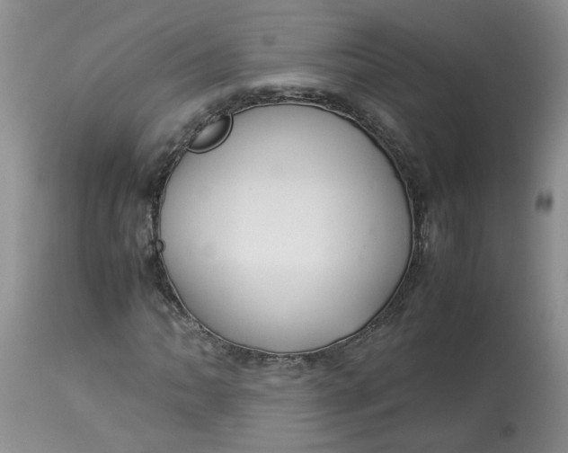 X0000114011062200910231810