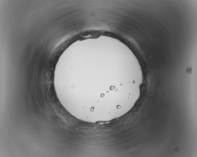 X0000114011064200910231810