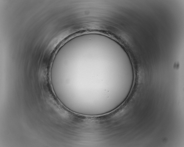 X0000114011065200910231810