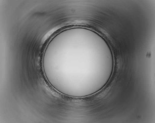 X0000114011066200910231810