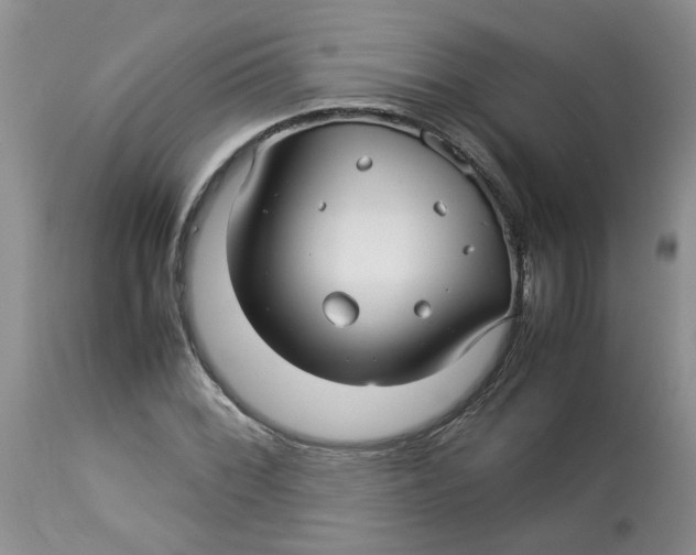 X0000114011068200910231810