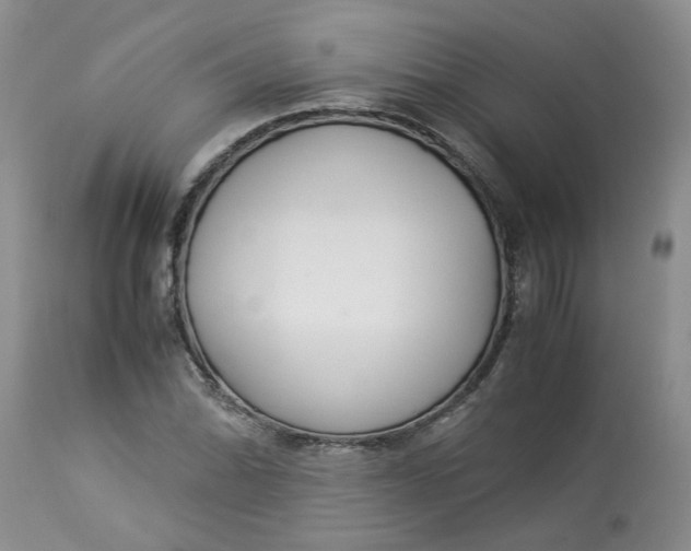 X0000114011070200910231810