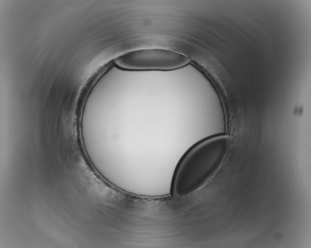 X0000114011072200910231810