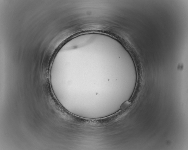 X0000114011073200910231810