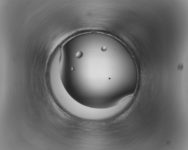 X0000114011077200910231810