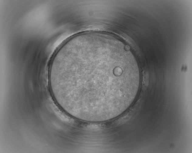 X0000114011078200910231810