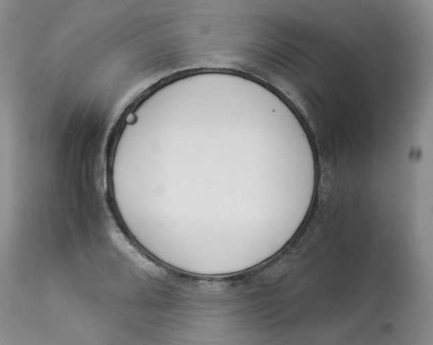 X0000114011080200910231810