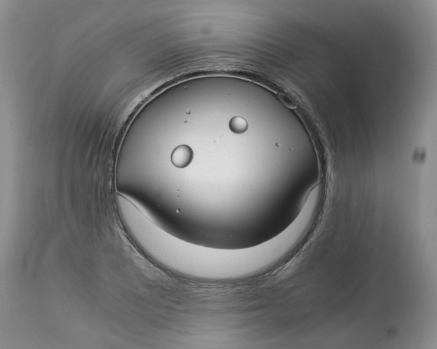 X0000114011081200910231810