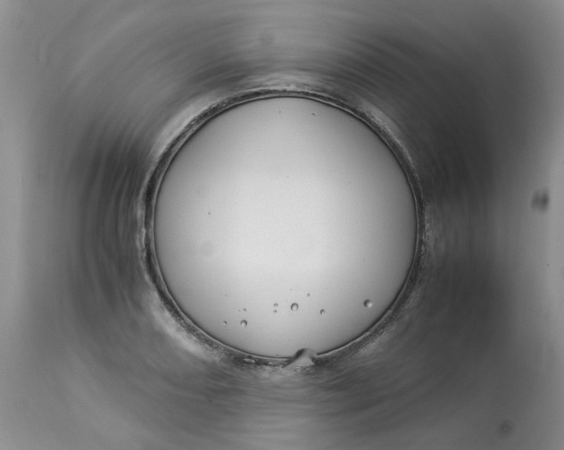 X0000114011082200910231809