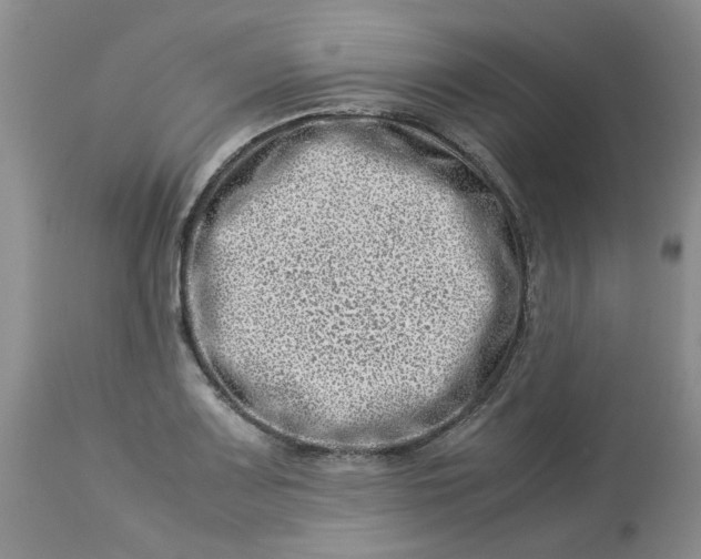 X0000114011083200910231809