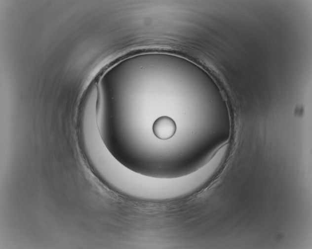 X0000114011085200910231809