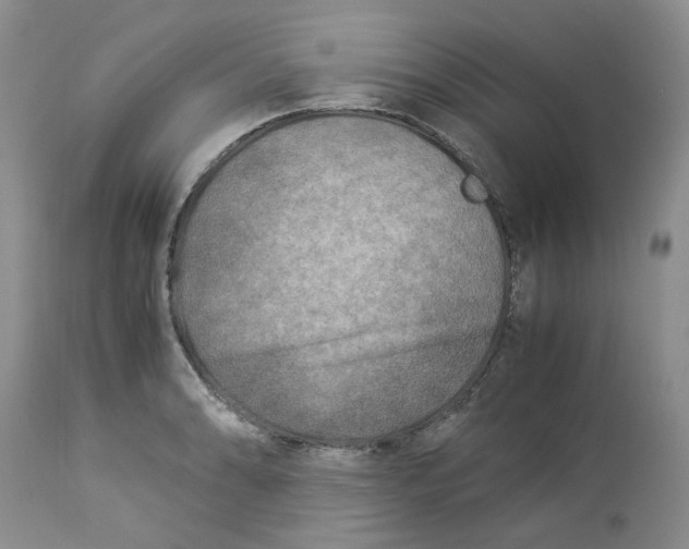 X0000114011086200910231809