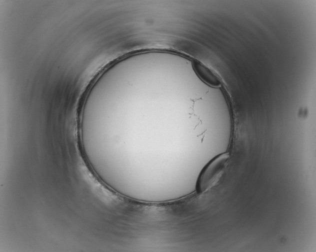 X0000114011088200910231809