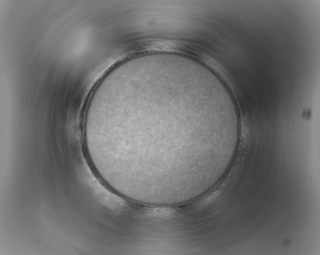 X0000114011090200910231809