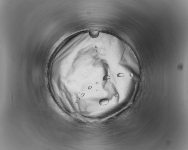 X0000114011091200910231809