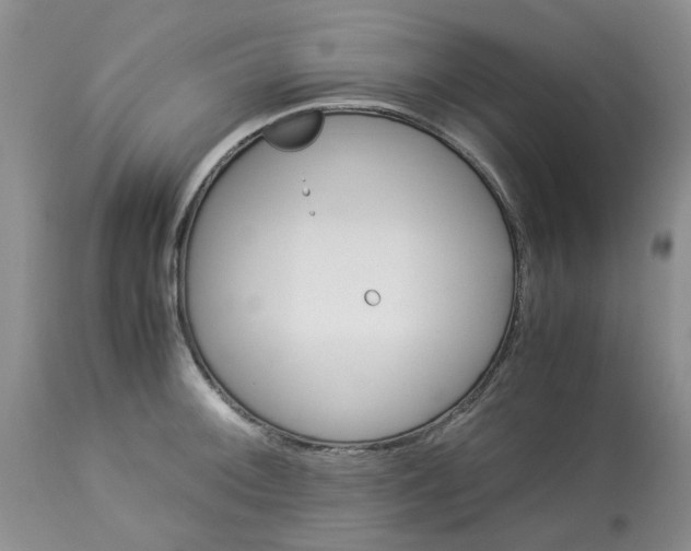 X0000114011092200910231809