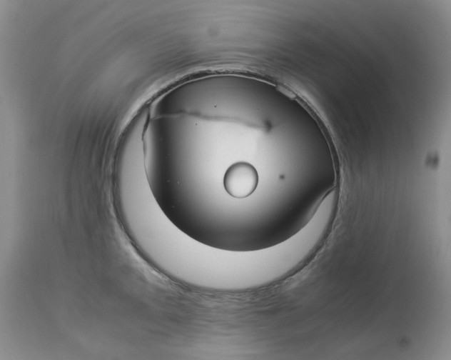 X0000114011093200910231809