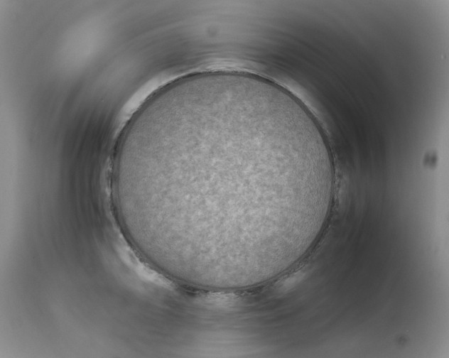 X0000114011094200910231809