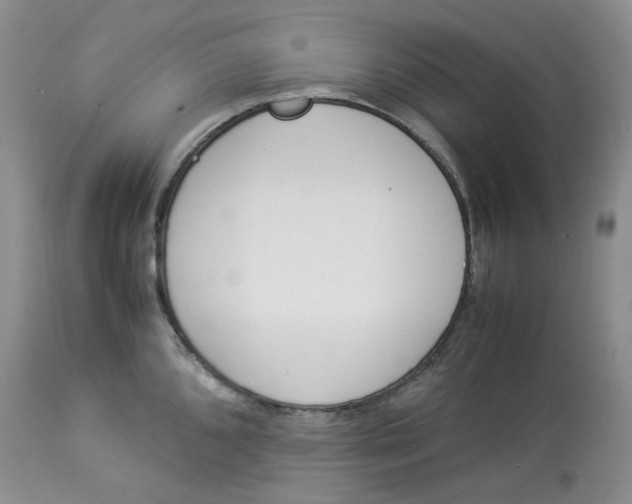 X0000114011096200910231809