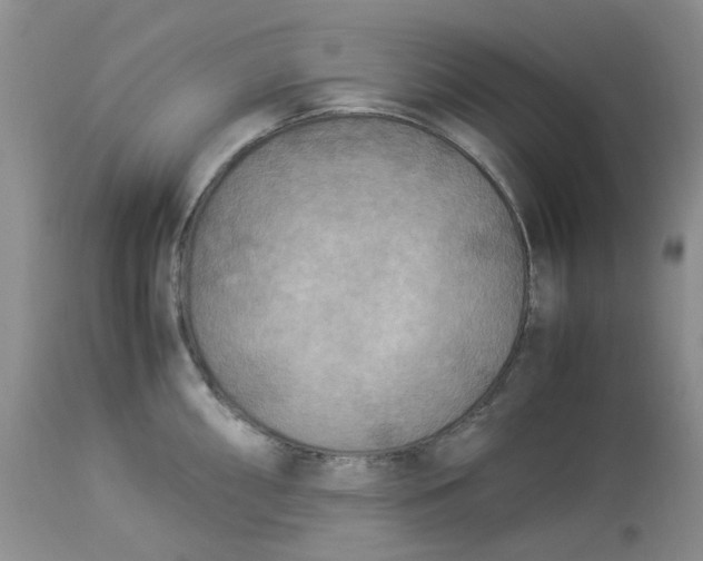 X0000114011098200910231809