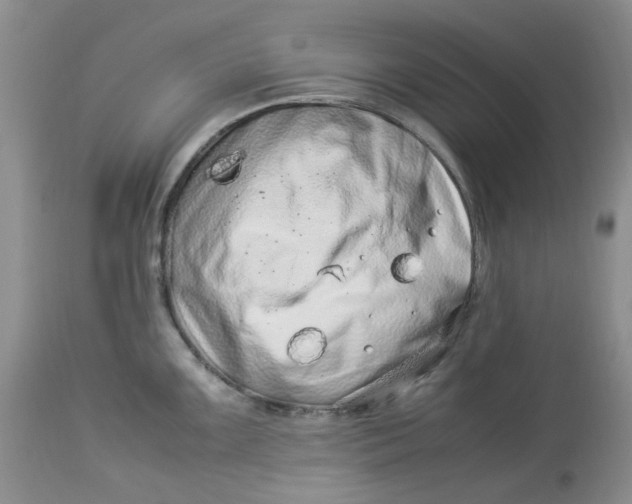 X0000114011099200910231809