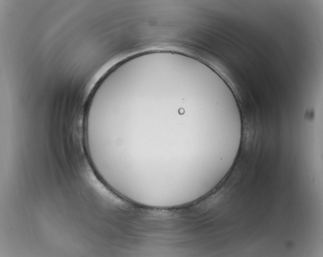 X0000114011100200910231809