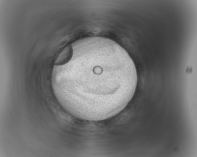 X0000114011105200910231808