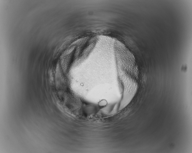 X0000114011106200910231808