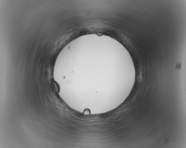 X0000114011108200910231808