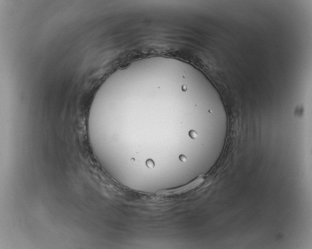 X0000114011109200910231808