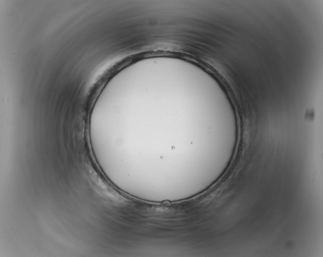 X0000114011115200910231809