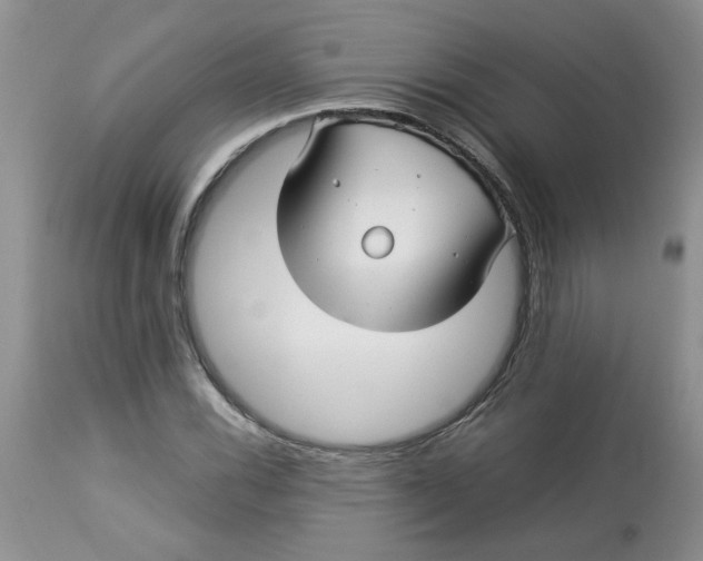 X0000114011116200910231809