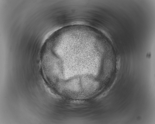 X0000114011117200910231809