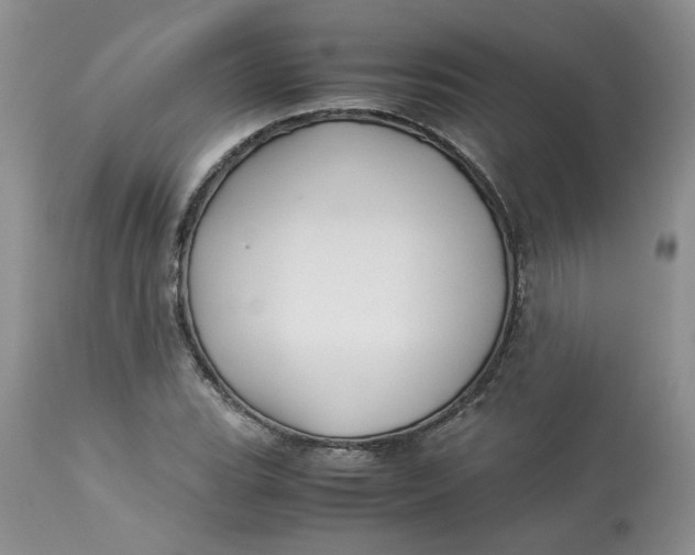 X0000114011119200910231809