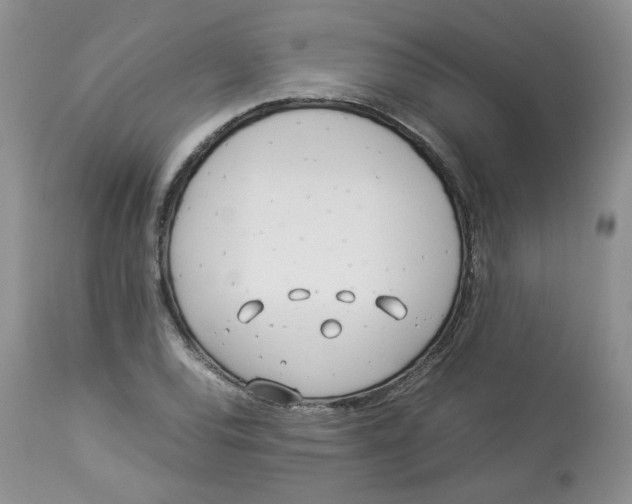 X0000114011120200910231809