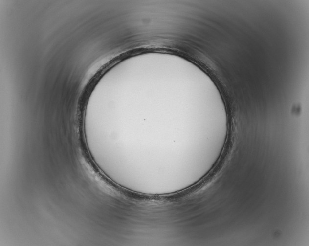 X0000114011122200910231809