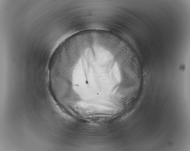 X0000114011125200910231809